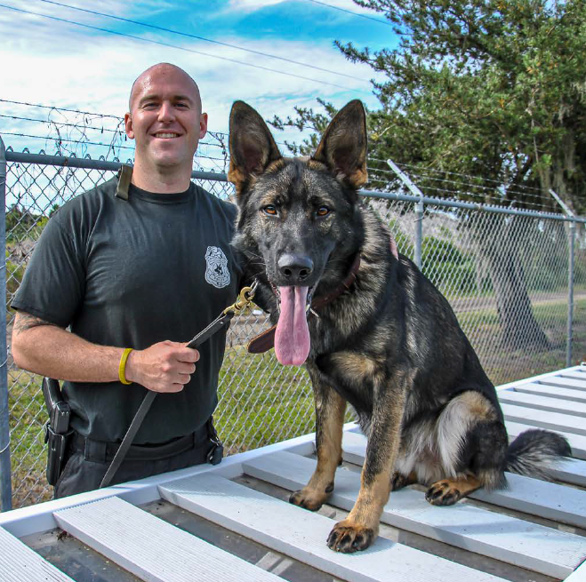 K9 Danno